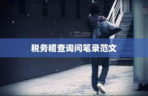 税务稽查询问笔录范文