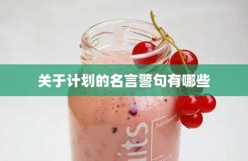 关于计划的名言警句有哪些