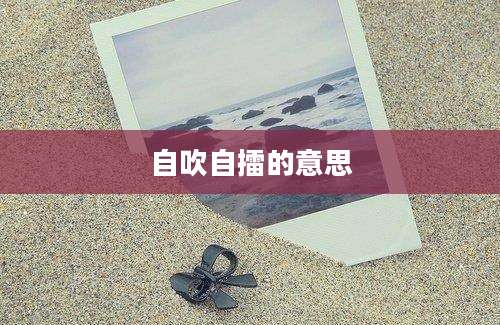 自吹自擂的意思