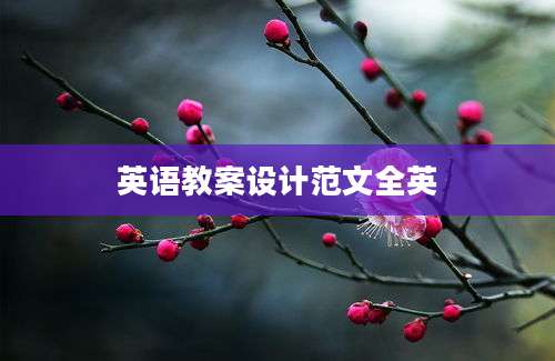 英语教案设计范文全英