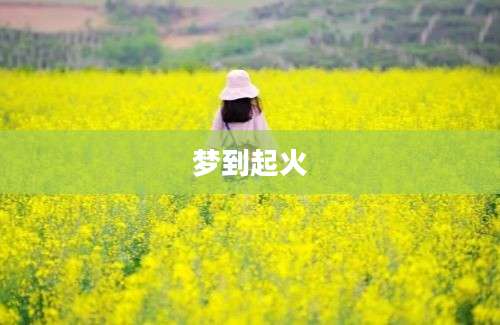 梦到起火