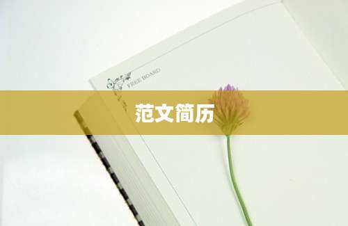 范文简历