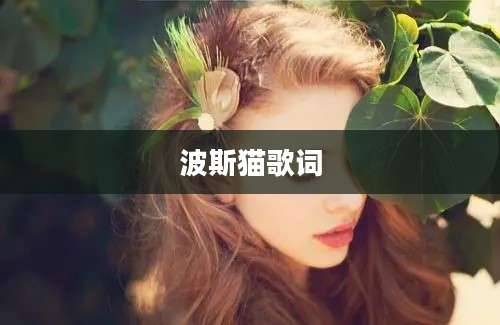 波斯猫歌词
