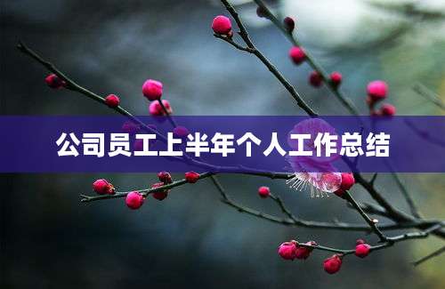 公司员工上半年个人工作总结