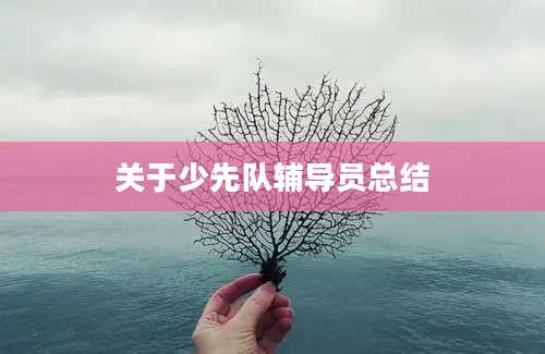 关于少先队辅导员总结