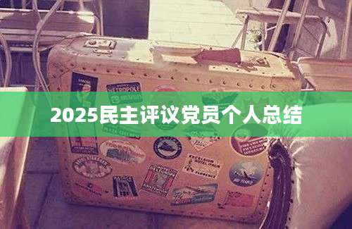 2025民主评议党员个人总结
