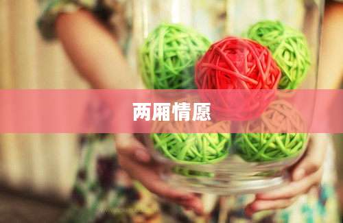 两厢情愿