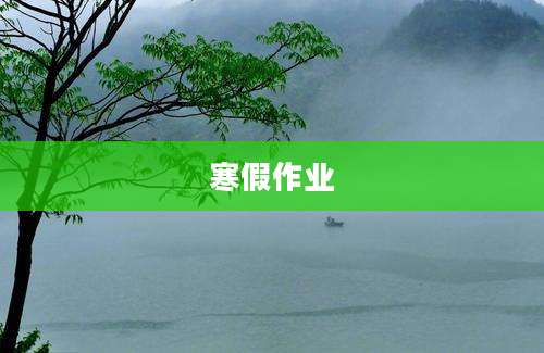 寒假作业