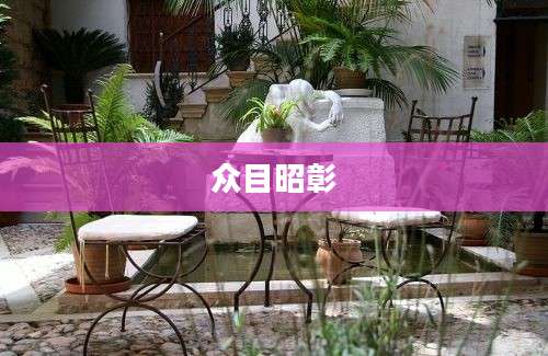 众目昭彰