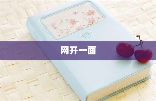 网开一面