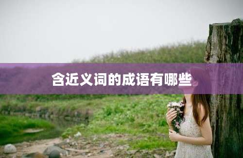 含近义词的成语有哪些