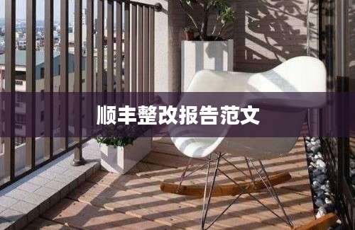 顺丰整改报告范文