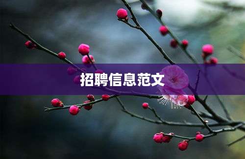 招聘信息范文