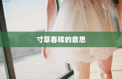 寸草春晖的意思