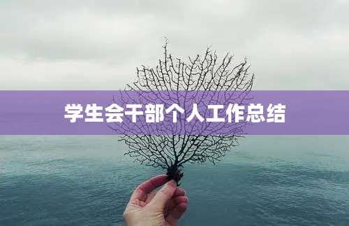 学生会干部个人工作总结