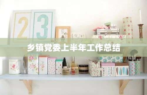 乡镇党委上半年工作总结