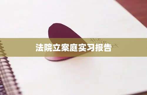 法院立案庭实习报告