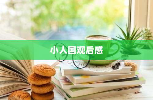 小人国观后感