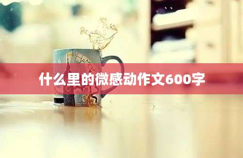 什么里的微感动作文600字