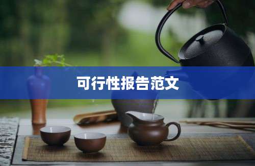 可行性报告范文