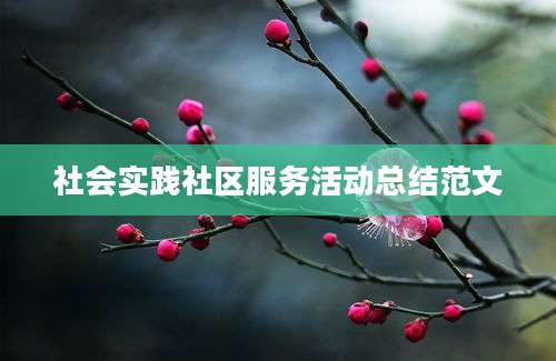 社会实践社区服务活动总结范文
