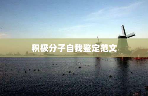 积极分子自我鉴定范文