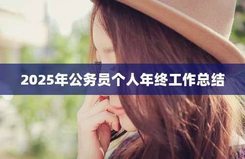 2025年公务员个人年终工作总结