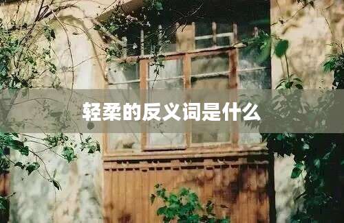 轻柔的反义词是什么