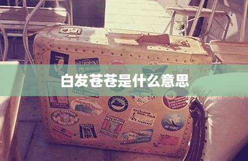 白发苍苍是什么意思