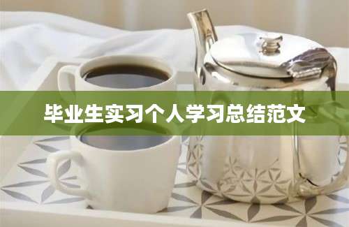 毕业生实习个人学习总结范文