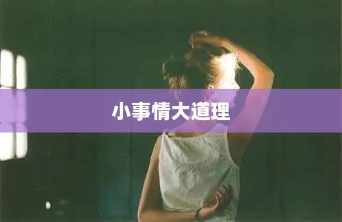 小事情大道理