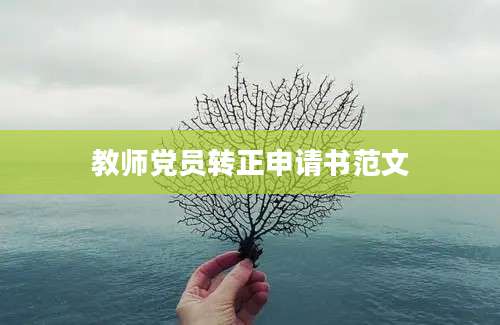 教师党员转正申请书范文