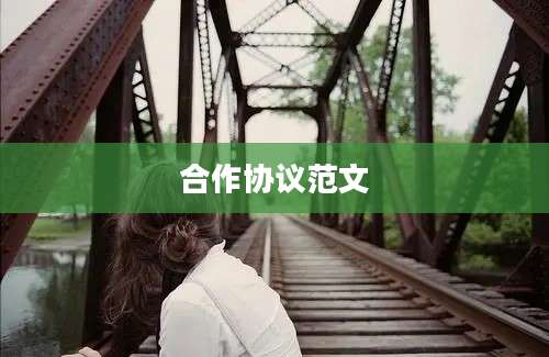 合作协议范文