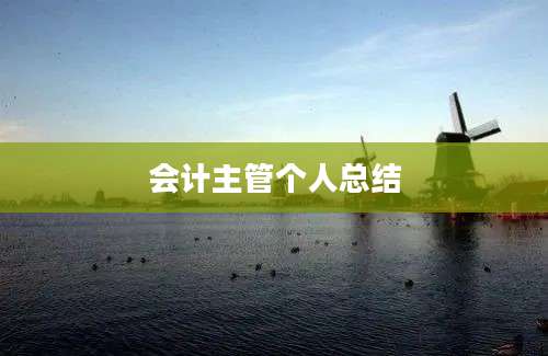 会计主管个人总结