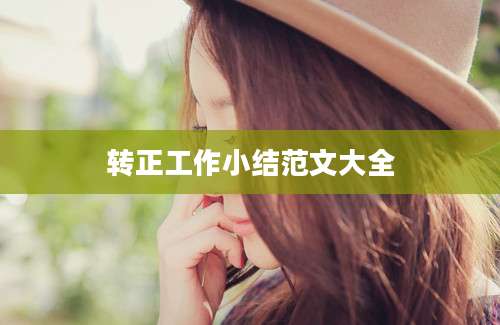 转正工作小结范文大全