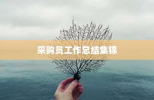 采购员工作总结集锦