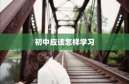 初中应该怎样学习