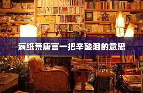 满纸荒唐言一把辛酸泪的意思