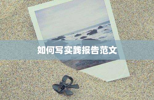 如何写实践报告范文