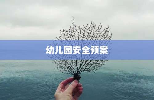 幼儿园安全预案