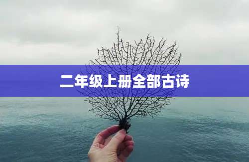 二年级上册全部古诗