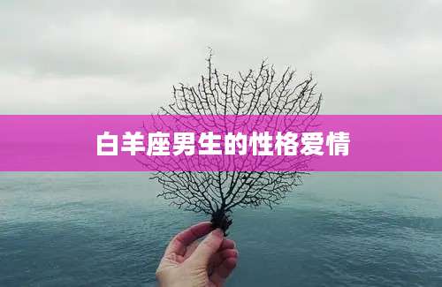 白羊座男生的性格爱情