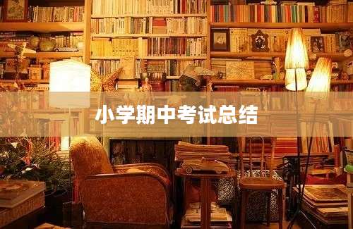 小学期中考试总结