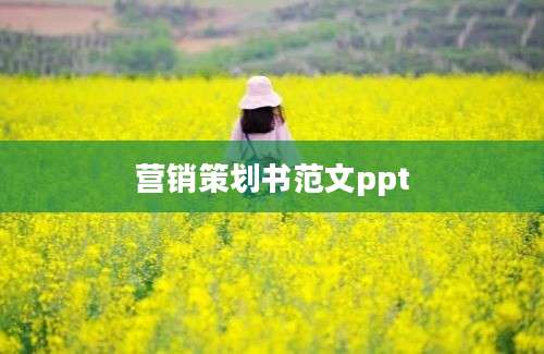 营销策划书范文ppt