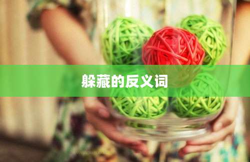 躲藏的反义词