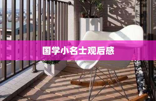 国学小名士观后感