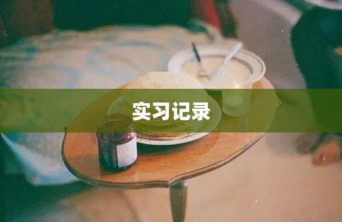 实习记录