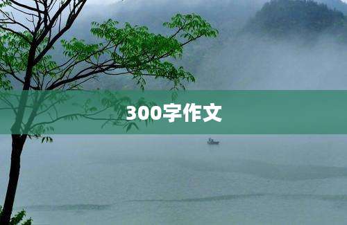300字作文