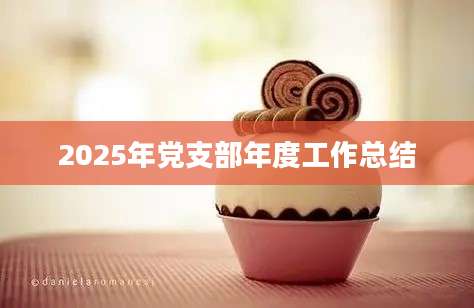 2025年党支部年度工作总结