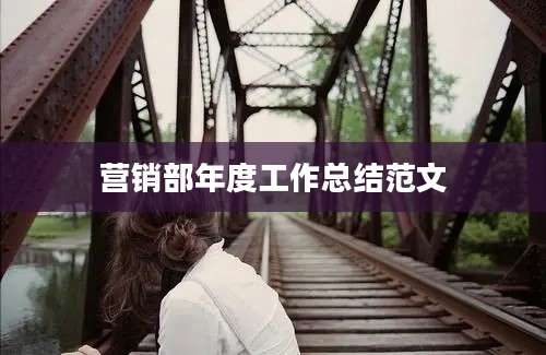 营销部年度工作总结范文